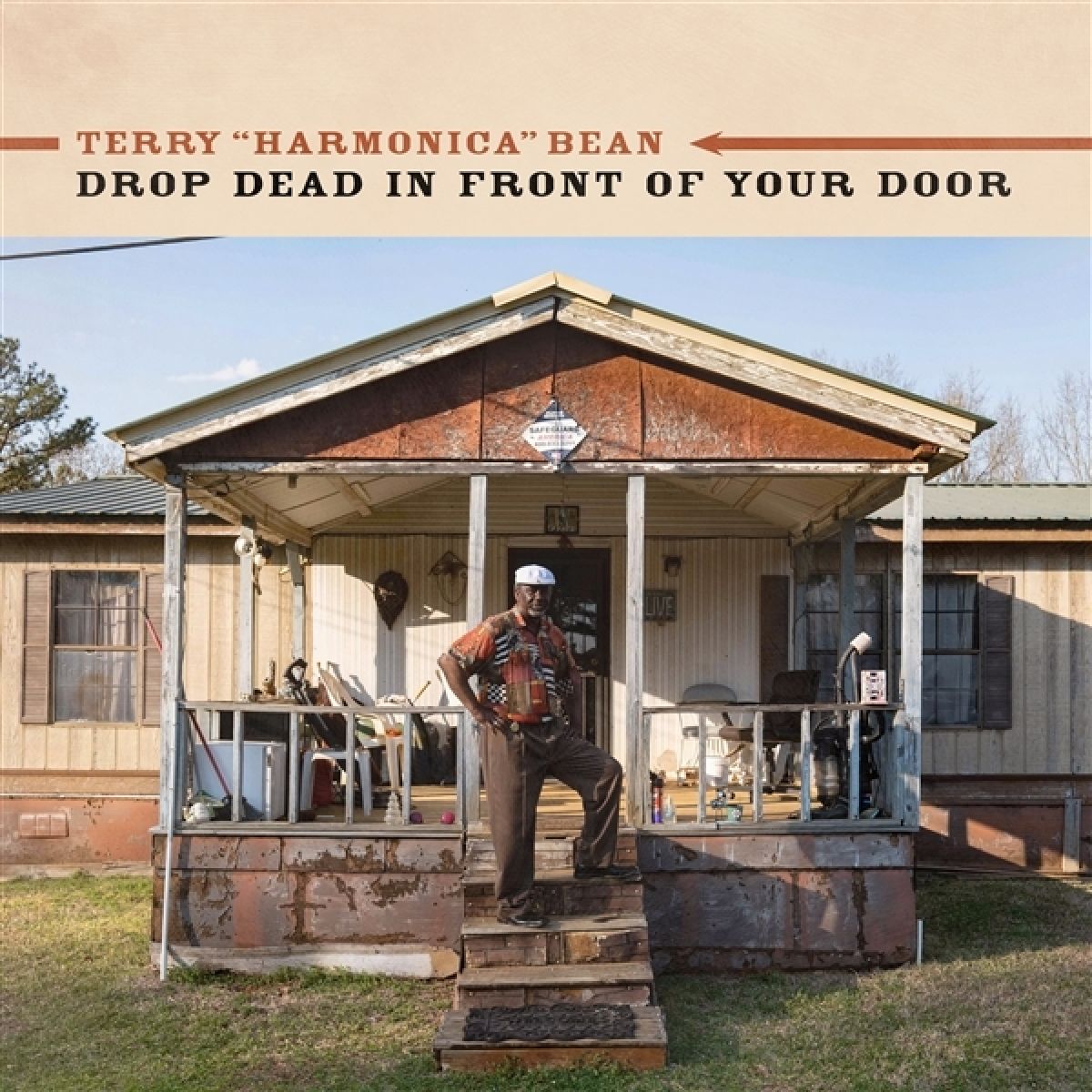 Terry "Harmonica" Bean - Drop Dead In Front Of Your Door