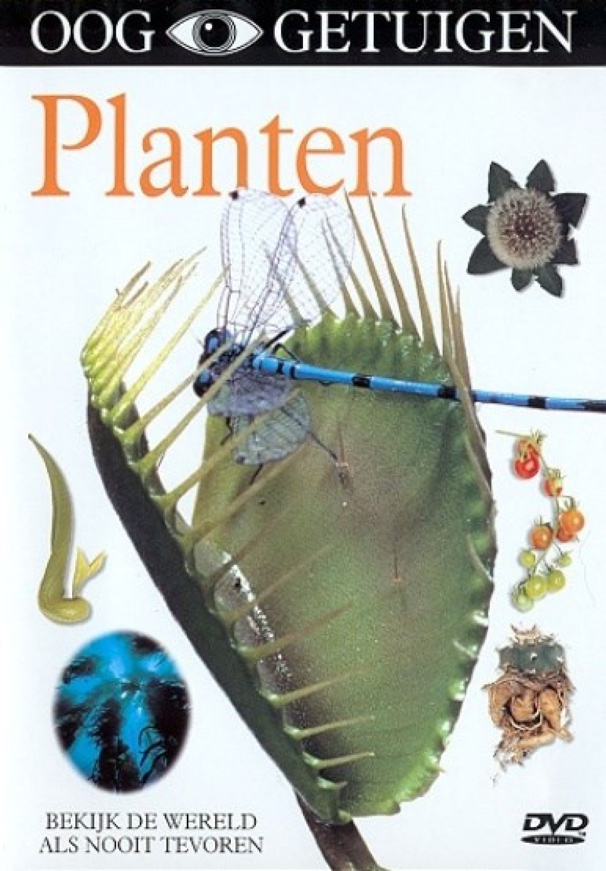 Afbeelding van Ooggetuigen - Planten