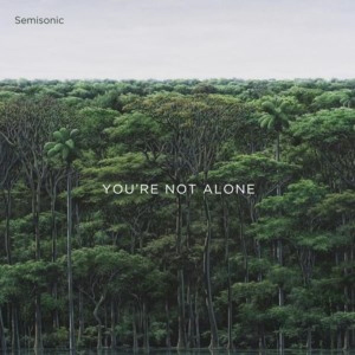 Afbeelding van You're Not Alone