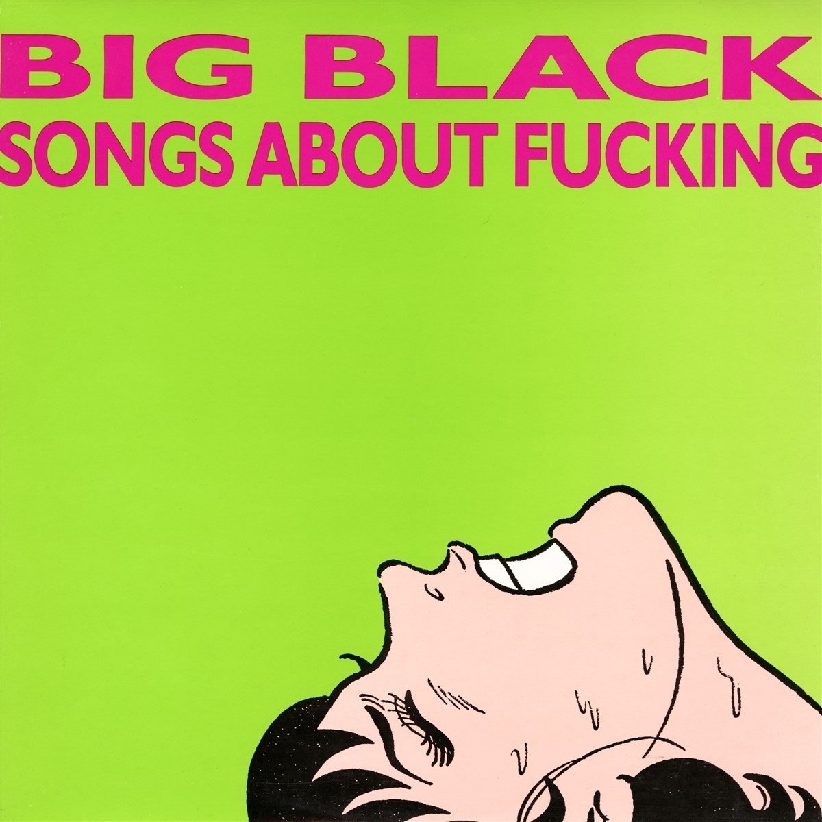 Afbeelding van Big Black - Songs About Fucking