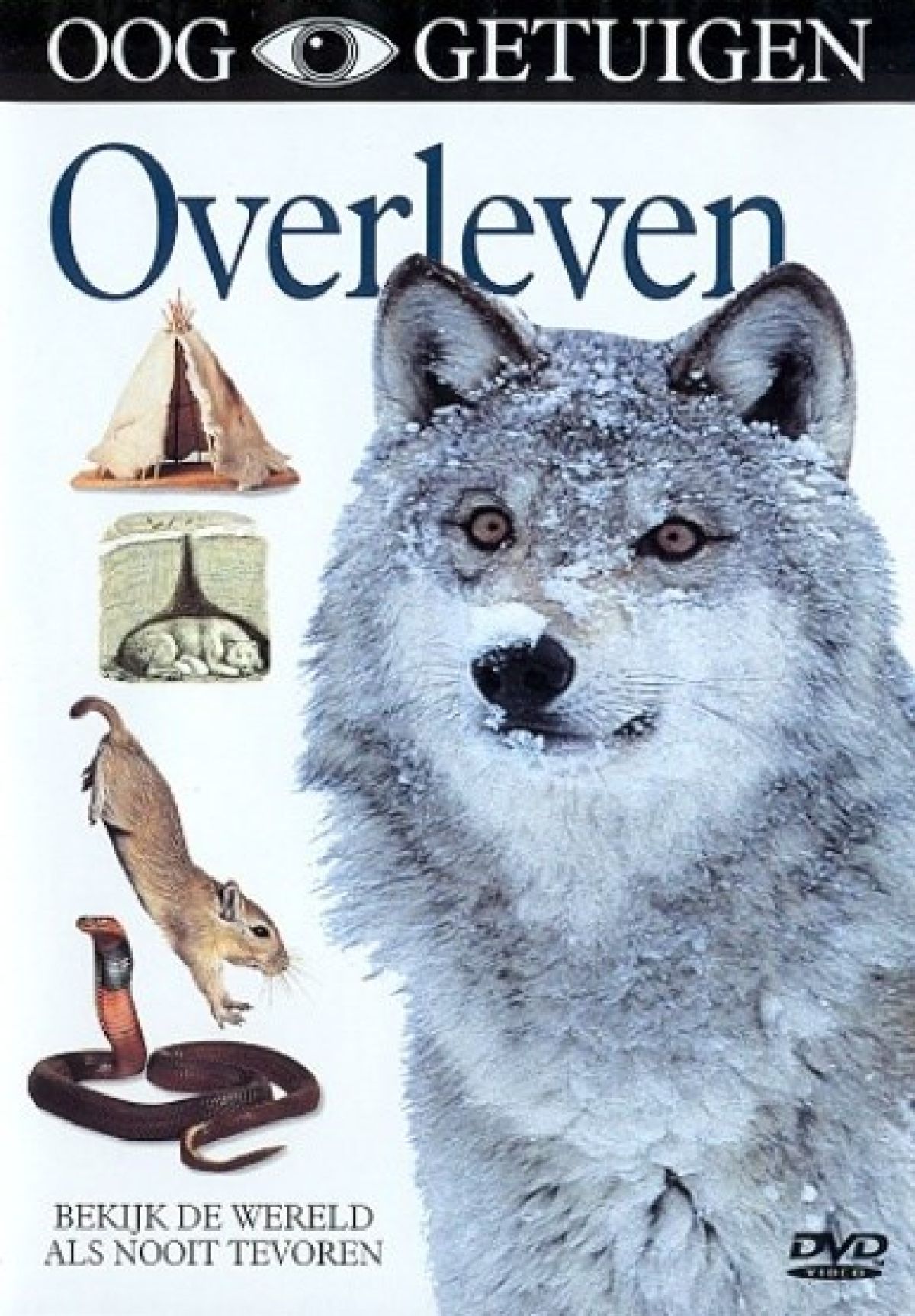 Afbeelding van Ooggetuigen - Overleven