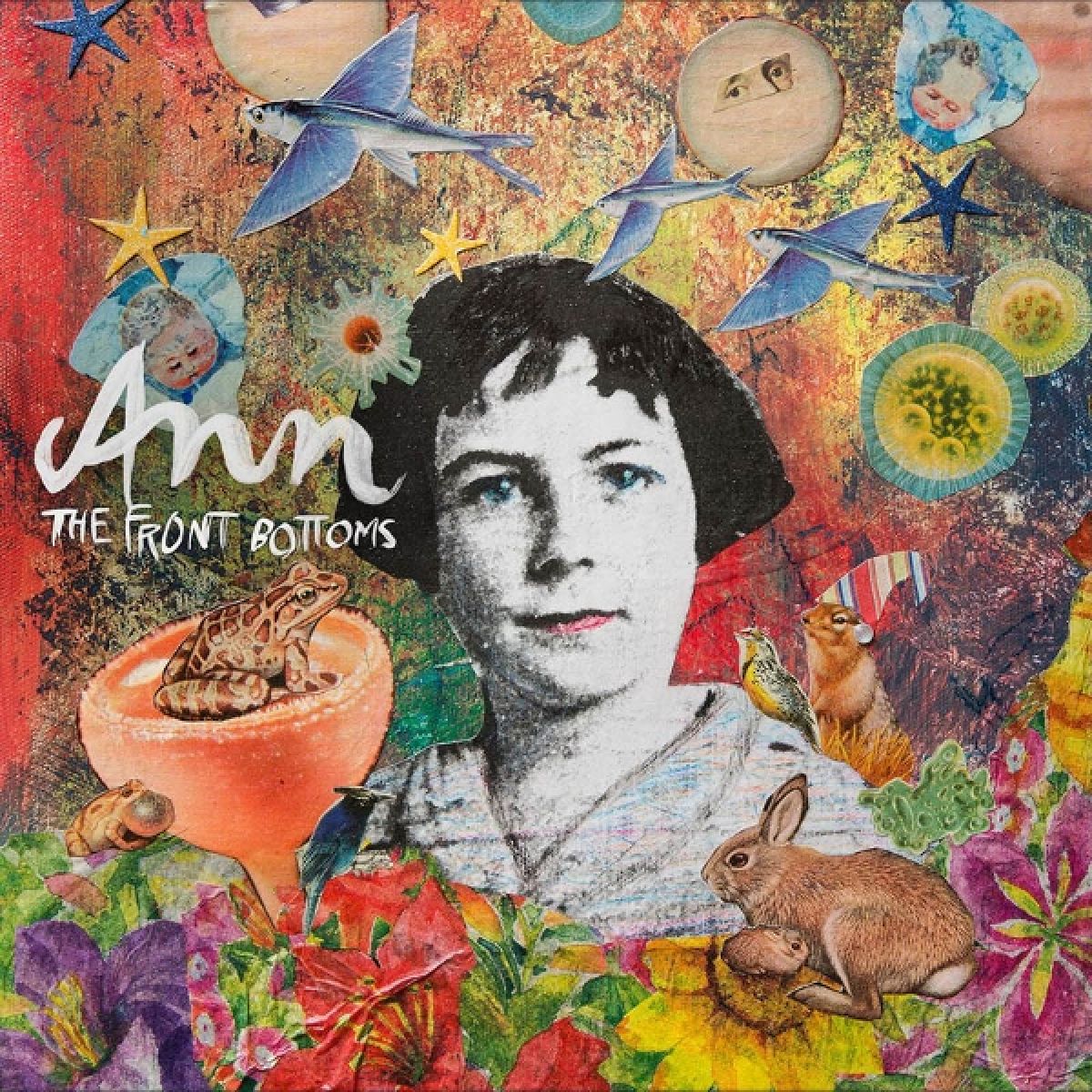 Afbeelding van Front Bottoms - Ann