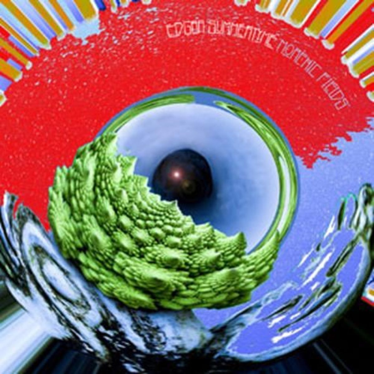 Afbeelding van Edgar Summertyme - Morphic Fields