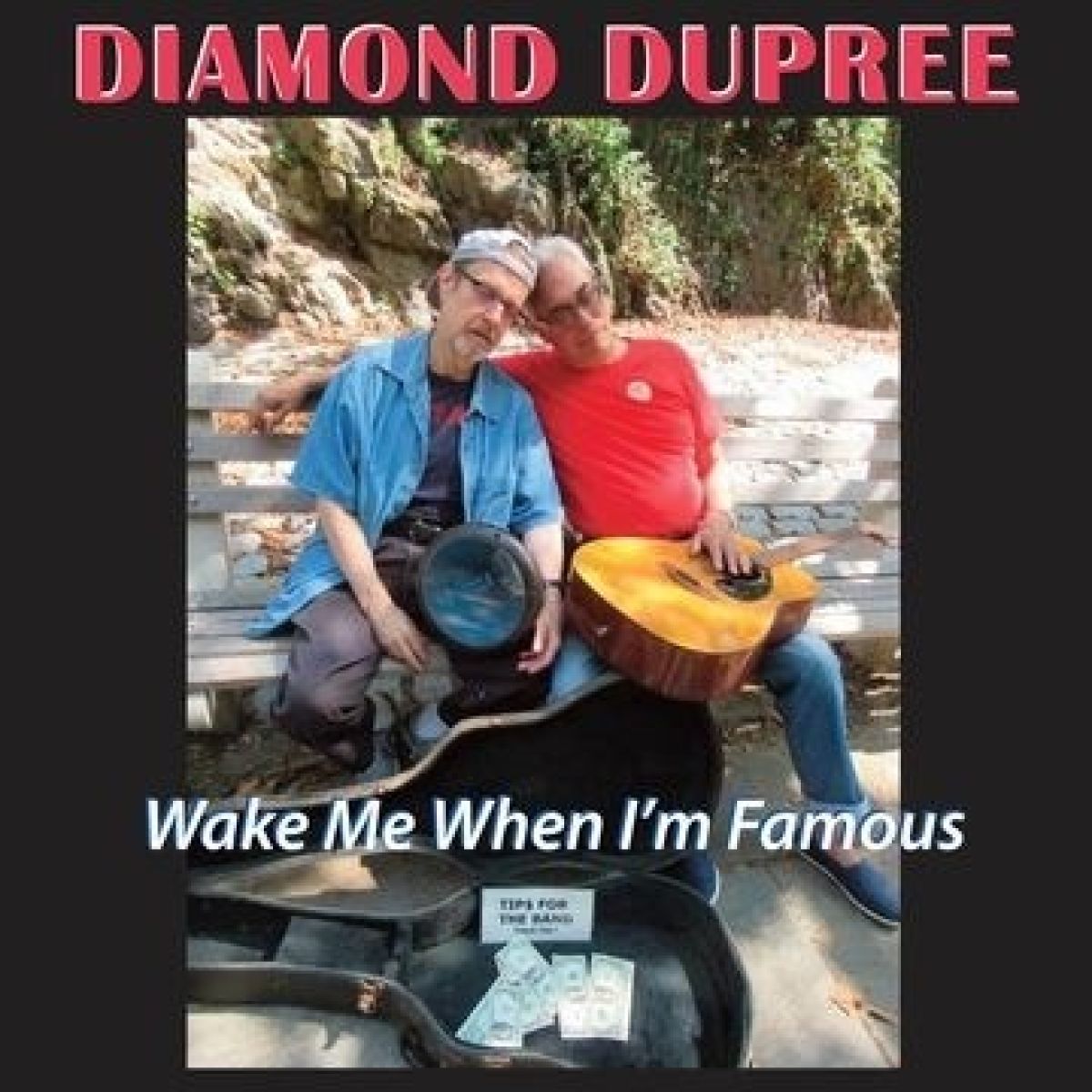 Afbeelding van Diamond Dupree - Wake Me When I'm Famous