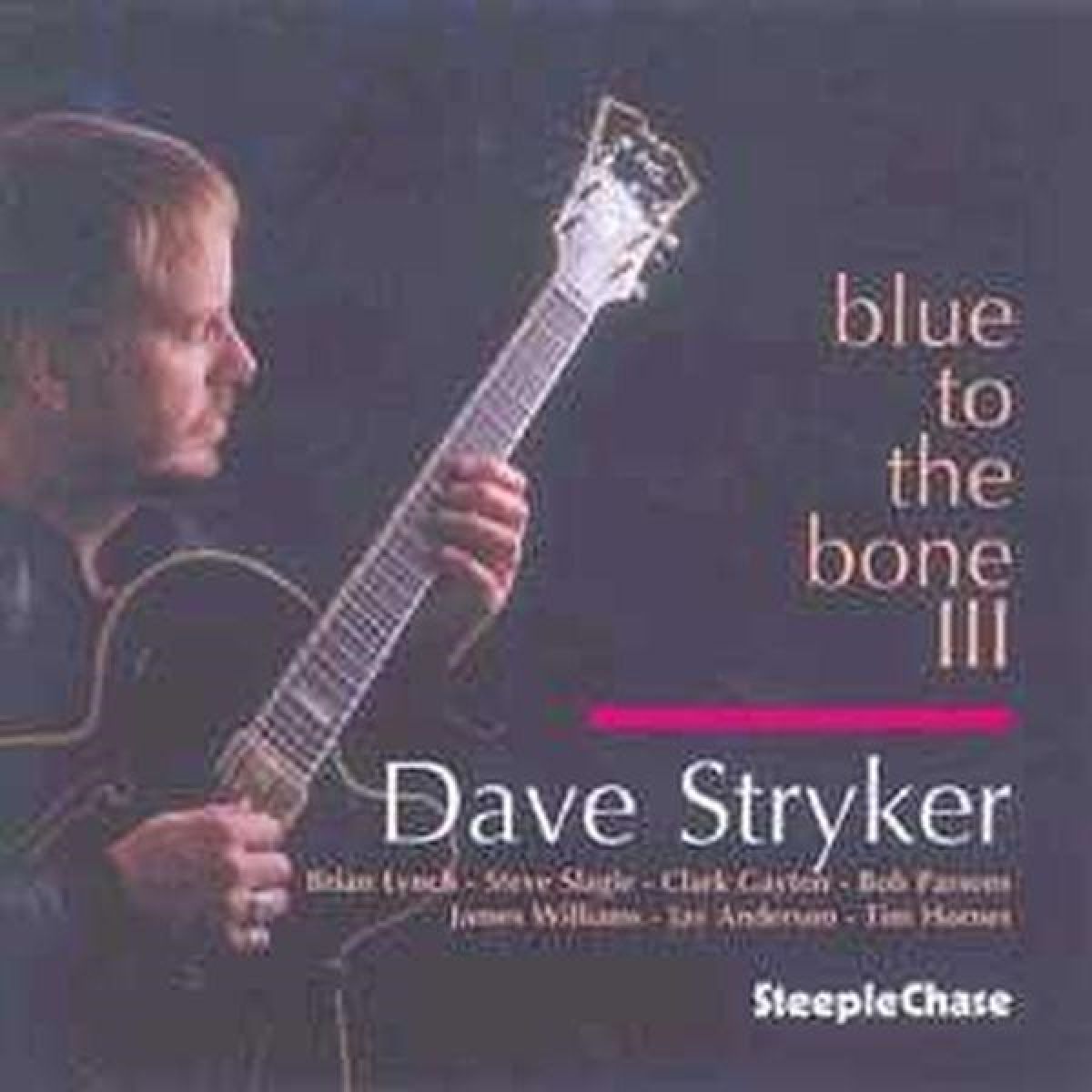 Afbeelding van Dave Stryker - Blue To The Bone III