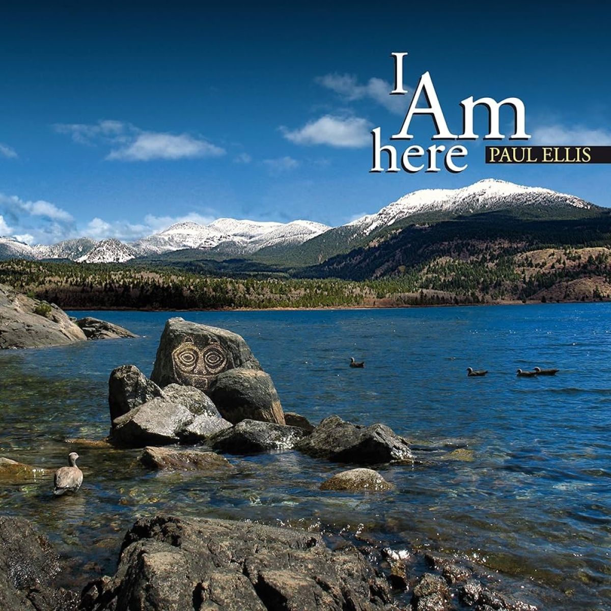Afbeelding van Paul Ellis - I Am Here