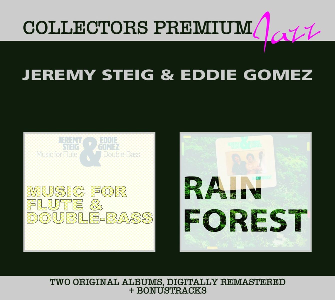 Jeremy Steig & Eddie Gomez - Music For Flute & Double-Bass | Rain Forest