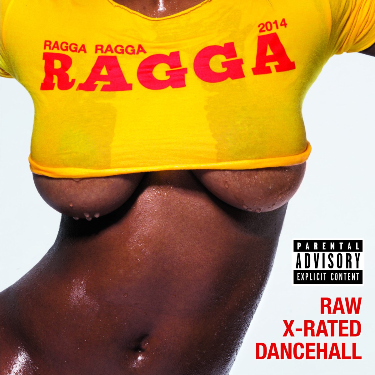 Various Artists - Ragga Ragga Ragga 2014