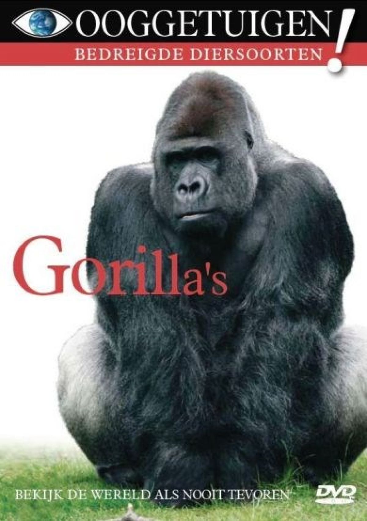 Afbeelding van Ooggetuigen - Gorilla's
