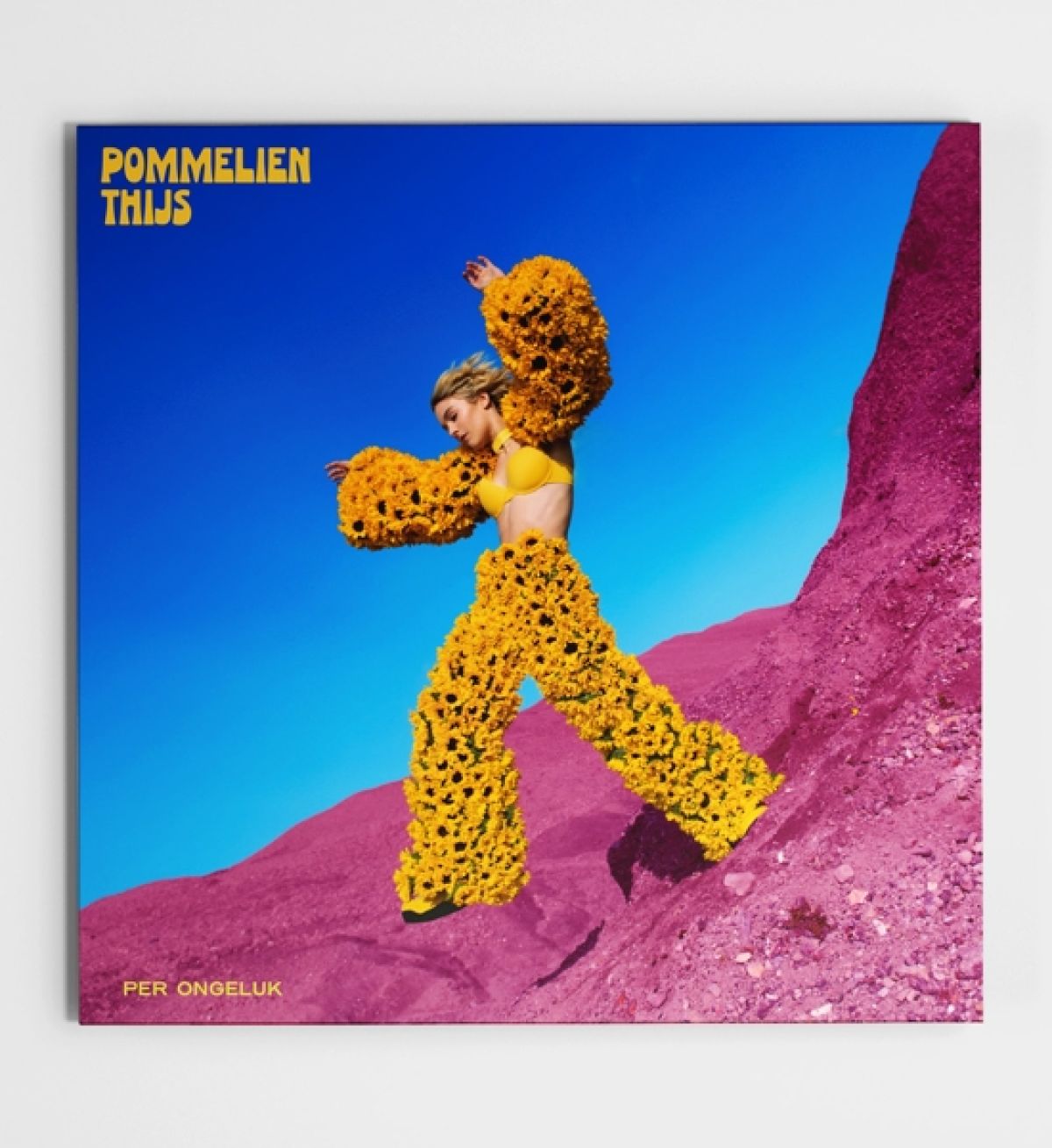 Afbeelding van Pommelien Thijs - Per Ongeluk