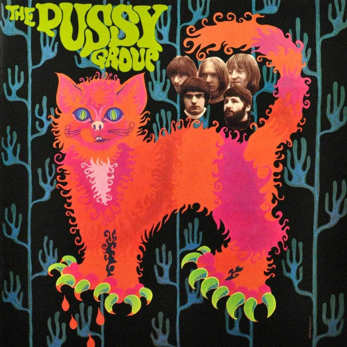 Afbeelding van Pussy, Fortes Mentum - Pussy Plays Plus | Humdiggle We Love You