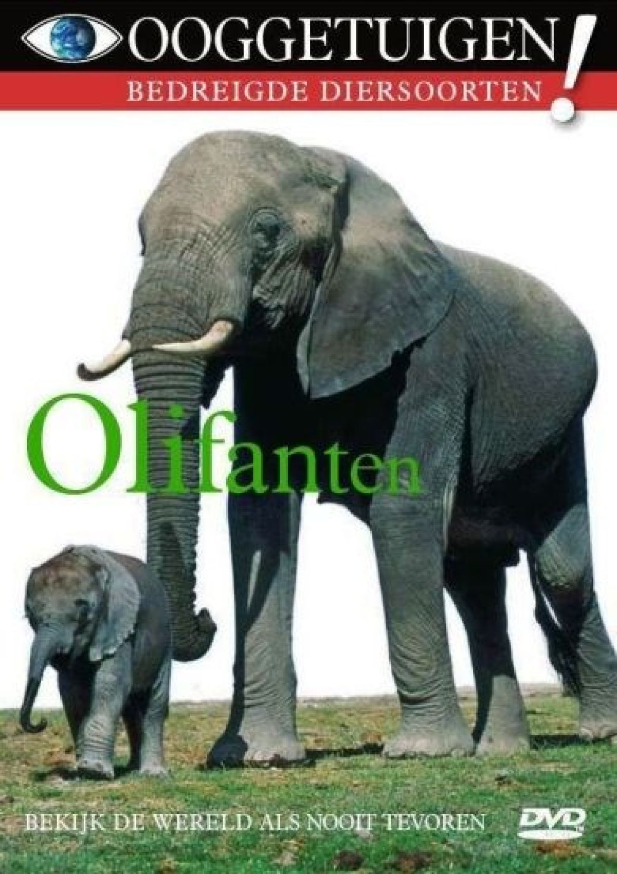 Afbeelding van Ooggetuigen - Olifanten
