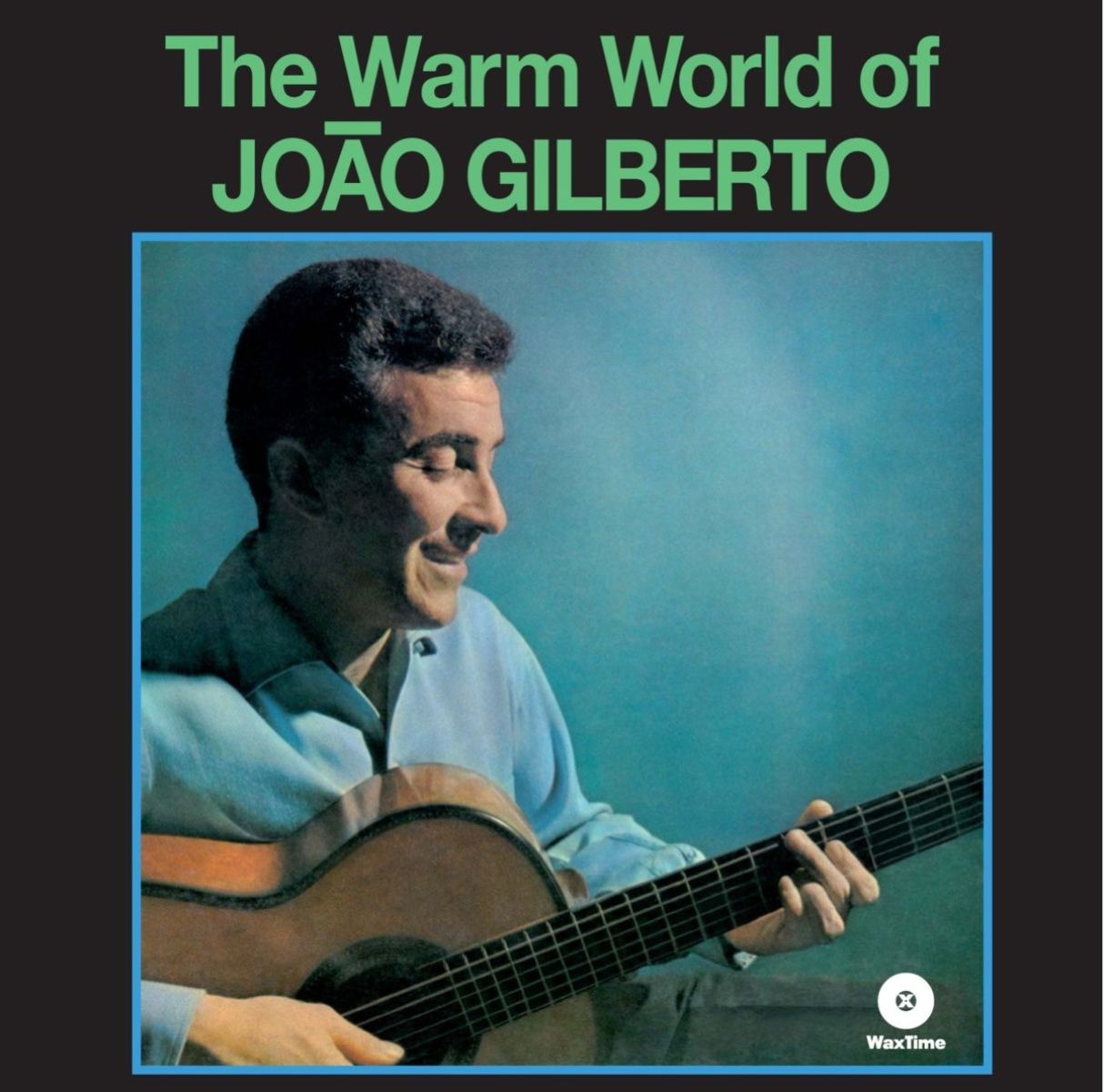 Afbeelding van João Gilberto - The Warm World Of João Gilberto