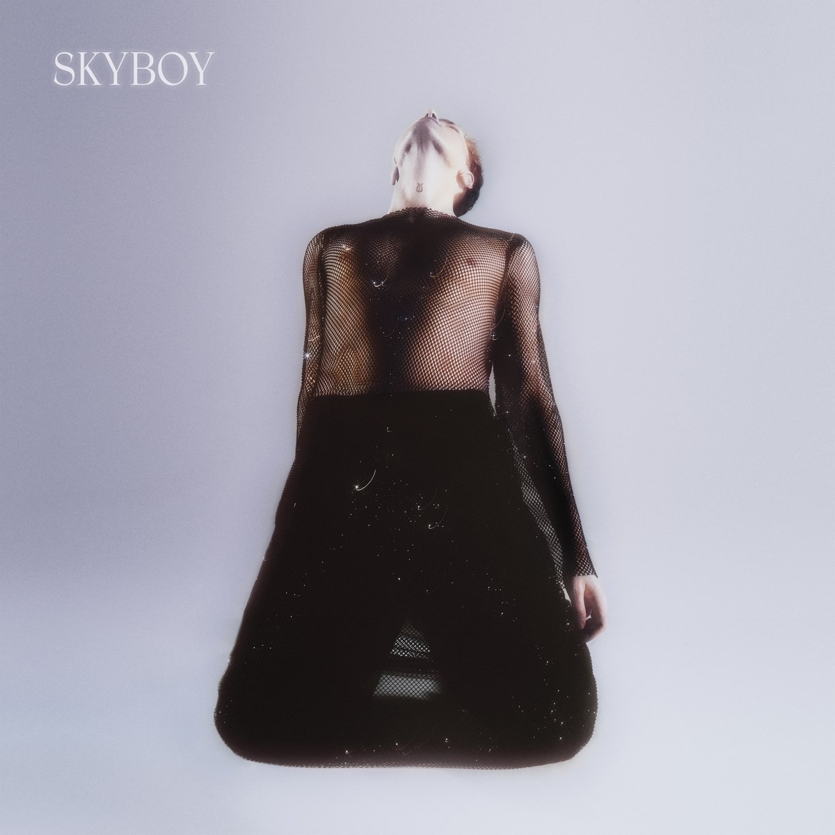 Afbeelding van Duncan Laurence - Skyboy