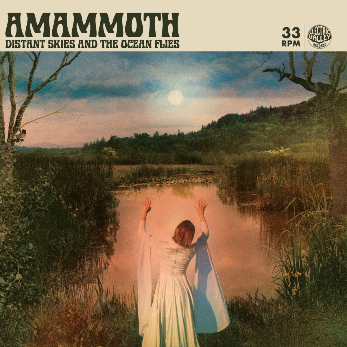 Afbeelding van Amammoth - Distant Skies And The Ocean Flies