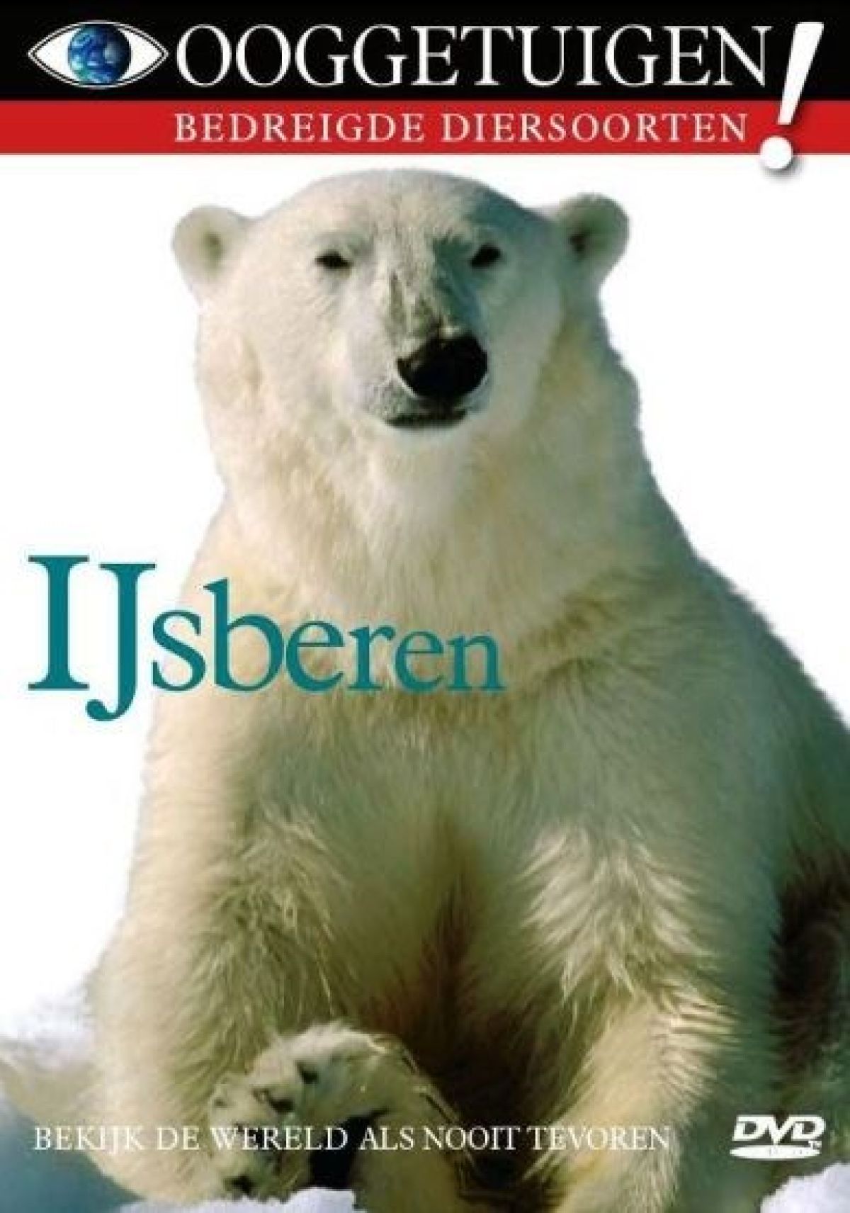 Afbeelding van Ooggetuigen - Ijsberen
