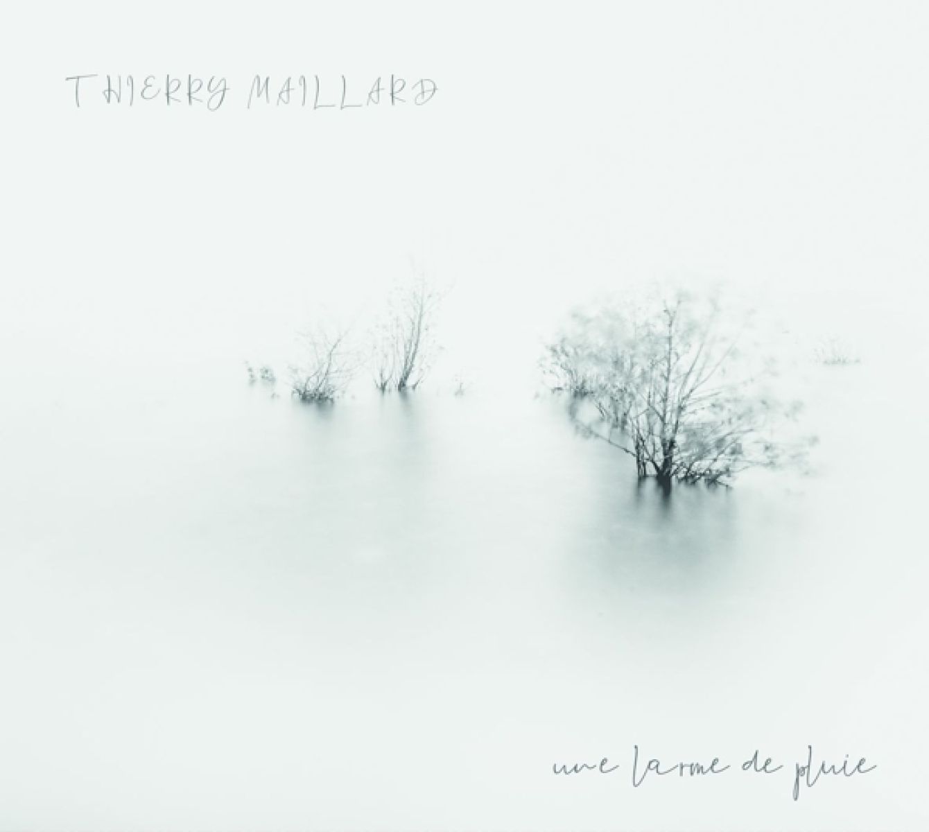 Thierry Maillard Big Band - Une Larme De Pluie
