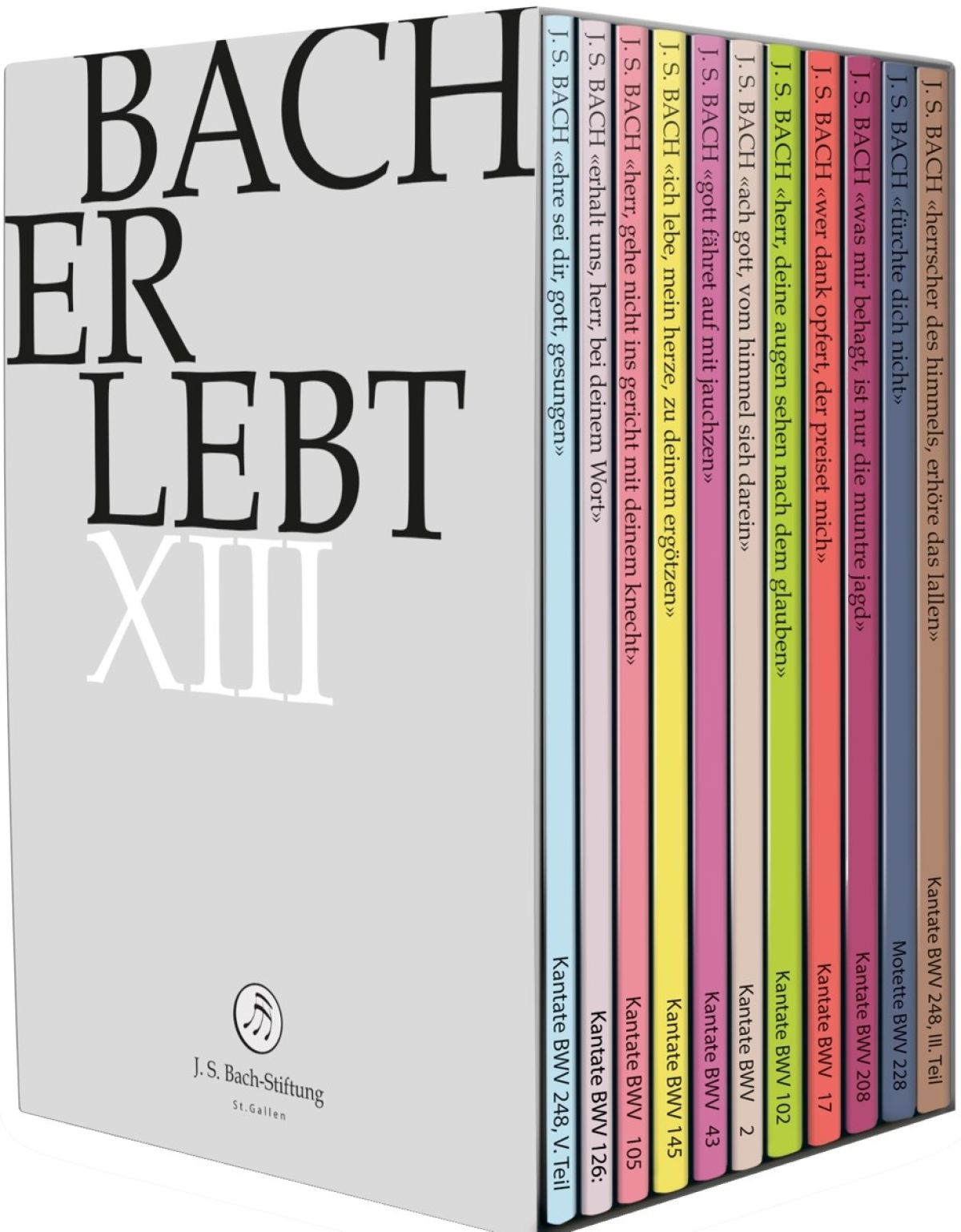 Afbeelding van Various Artists - Bach Erlebt XIII