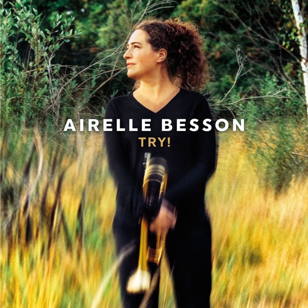 Airelle Besson, Benjamin Moussay, Fabrice Moreau - Try!