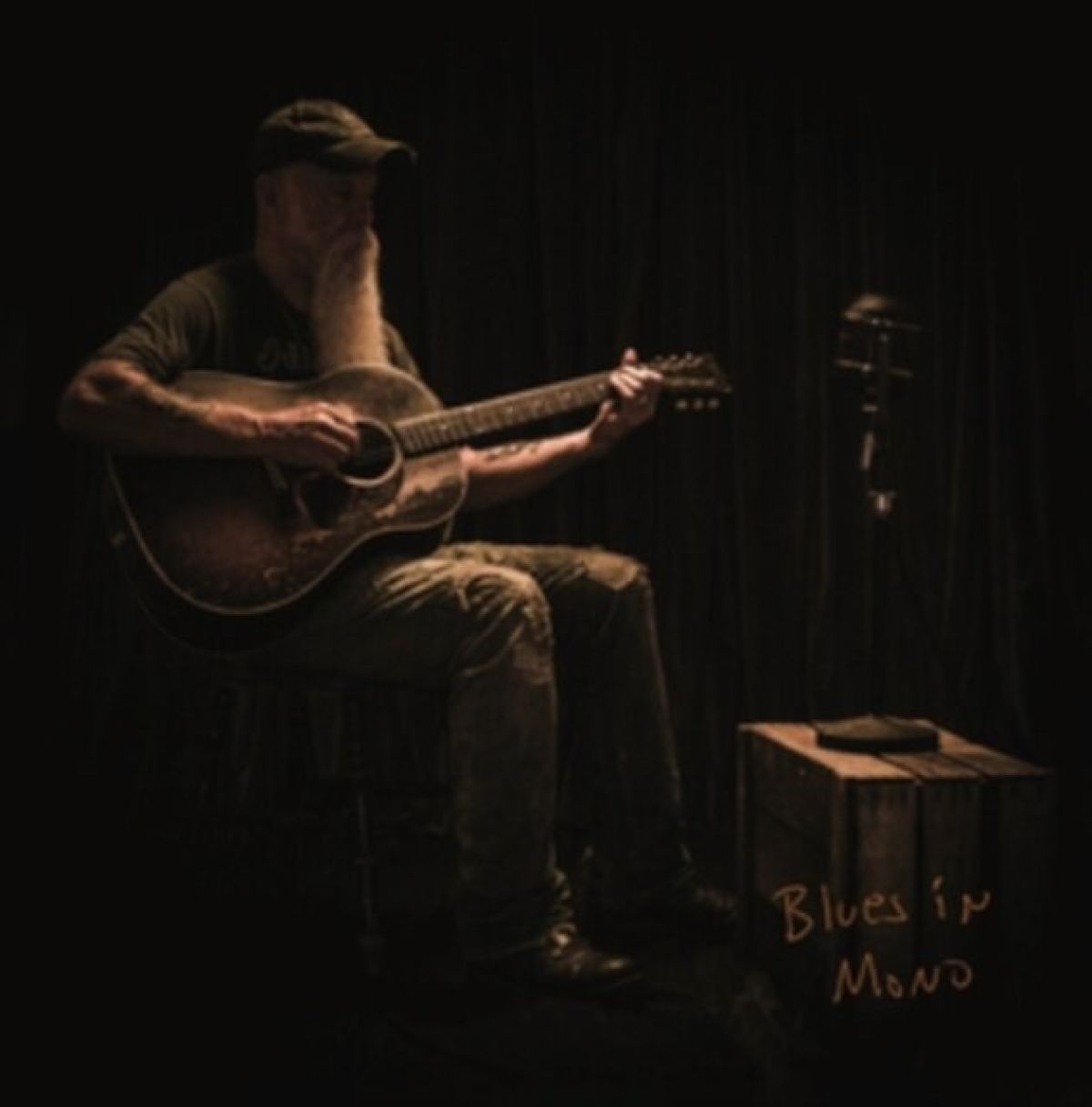 Afbeelding van Seasick Steve - Blues In Mono