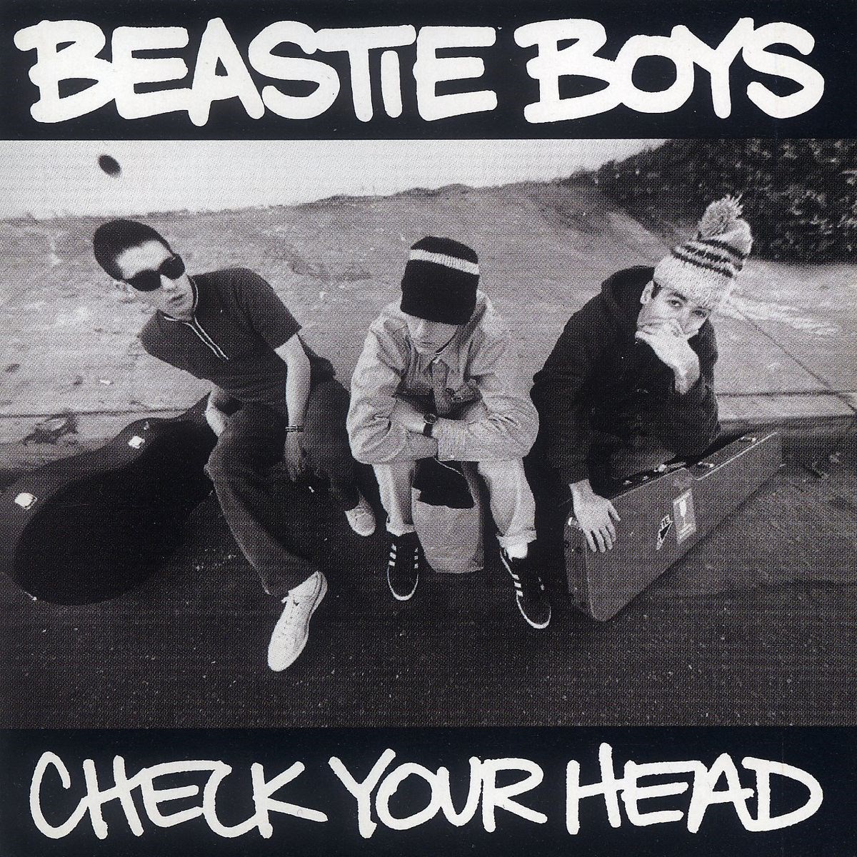 Afbeelding van Beastie Boys - Check Your Head