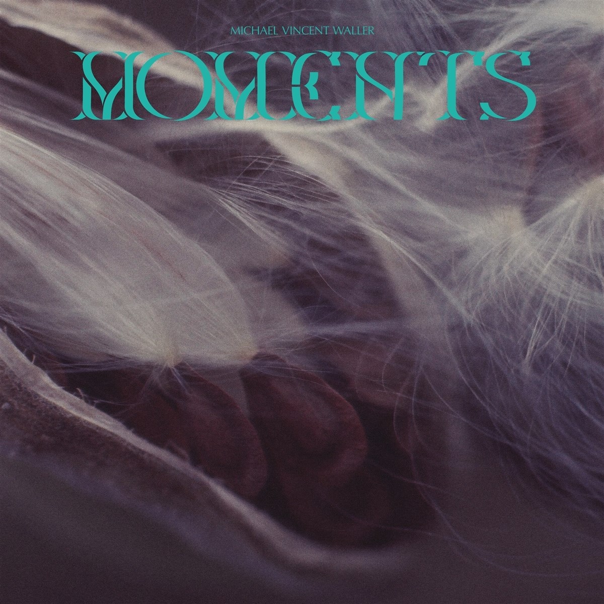 Afbeelding van Michael Vincent Waller - Moments