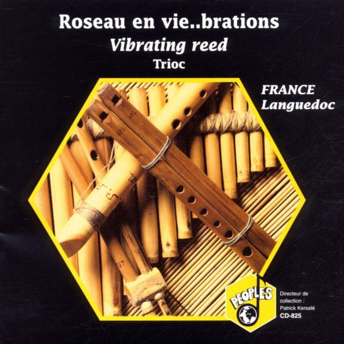 Daniel Benhaim, Sylvie Ena, Vincent Favre - Roseau en Vie...Brations