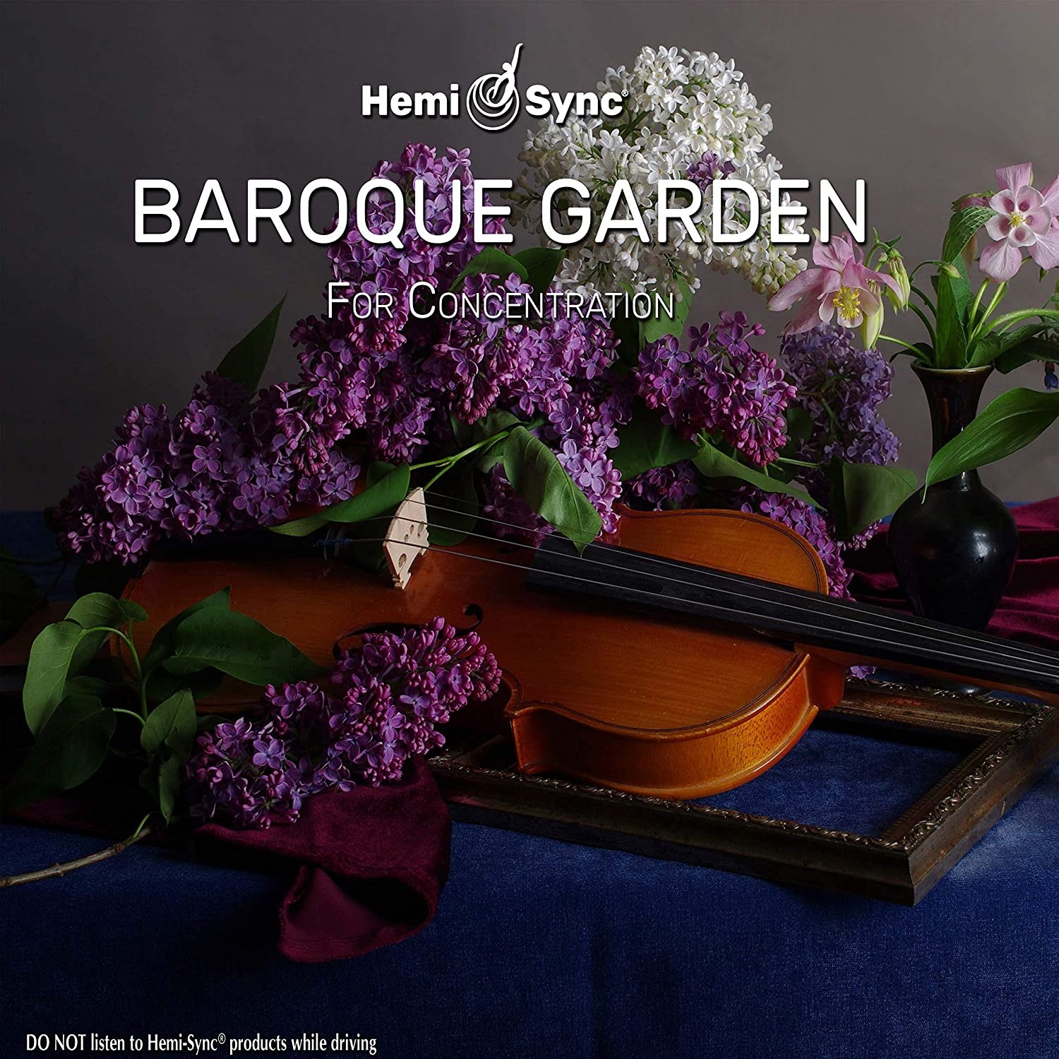 Afbeelding van Arcangelos Chamber Ensemble - Baroque Garden