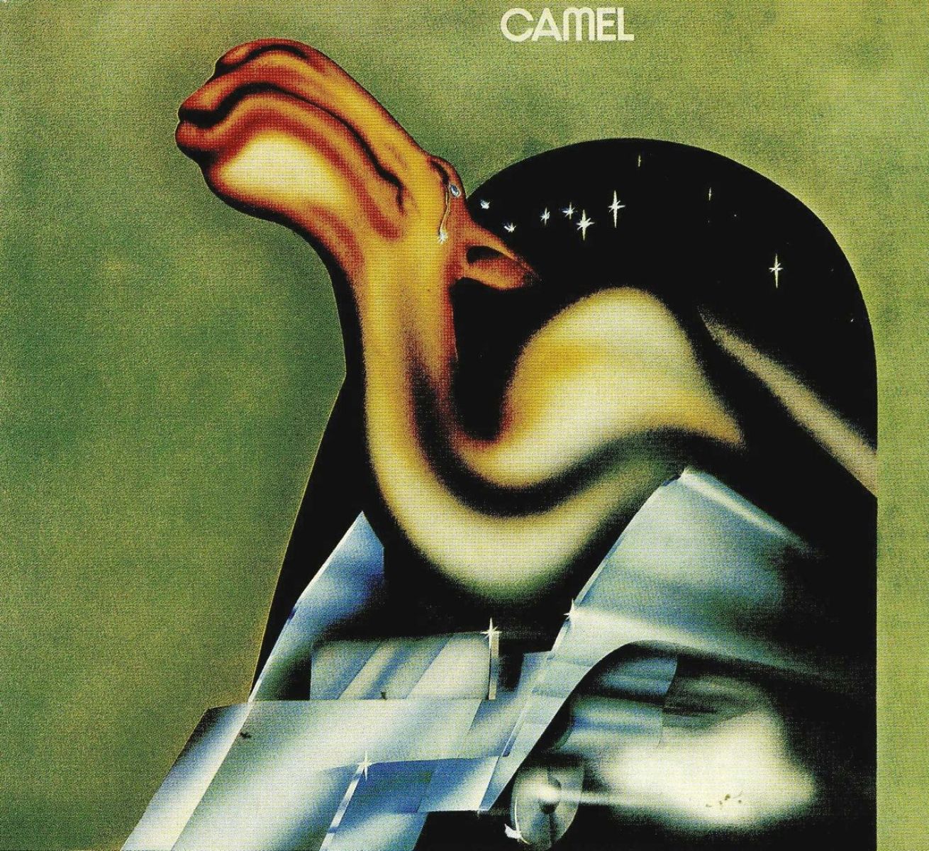 Afbeelding van Camel