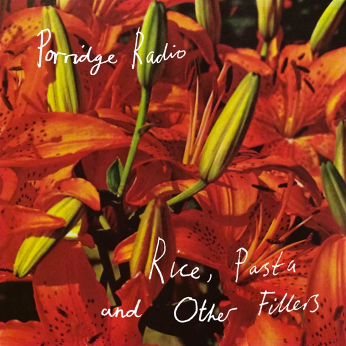 Afbeelding van Rice, Pasta And Other Fillers