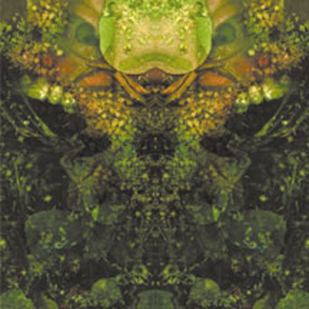 Afbeelding van House Of Low Culture - Edward's Lament
