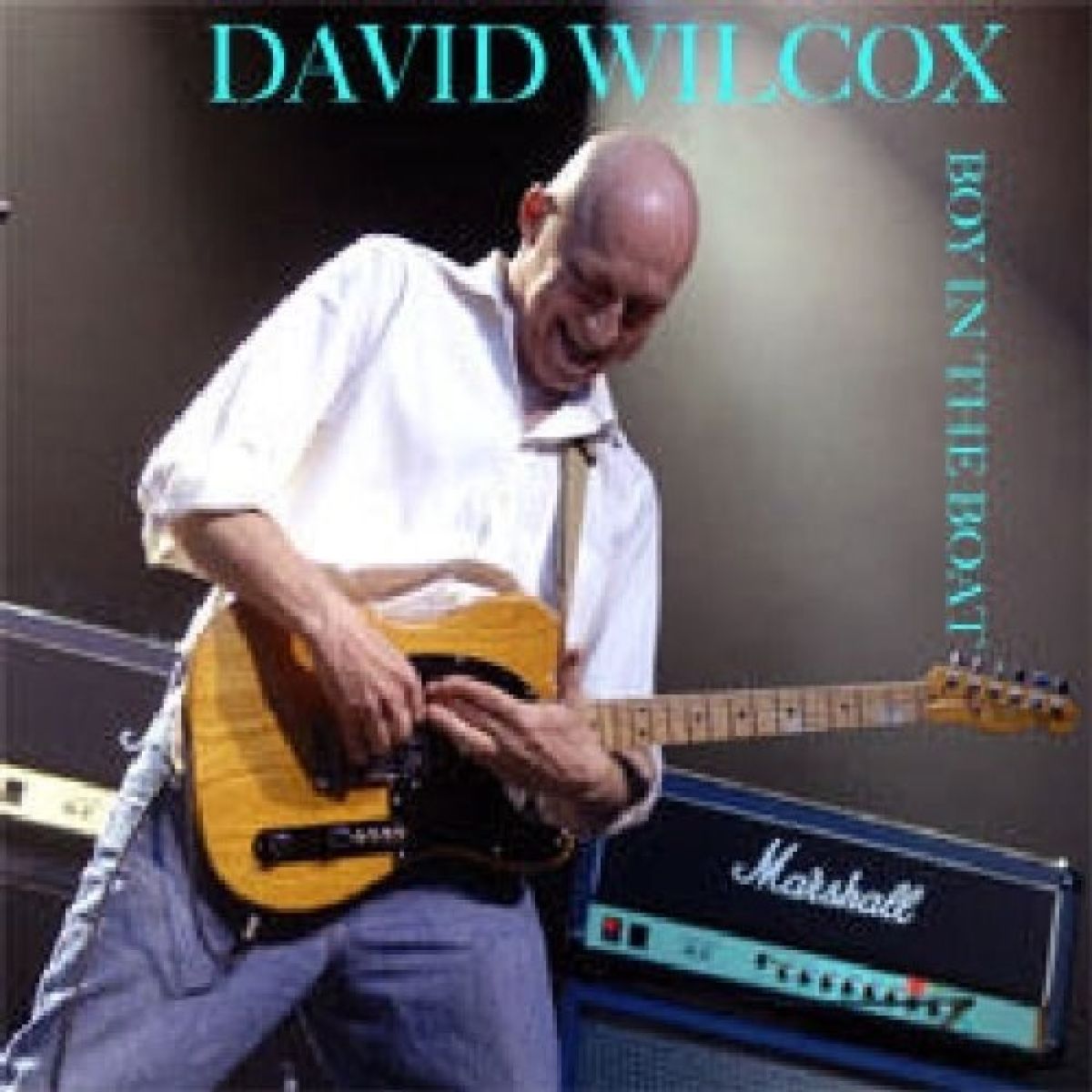 David Wilcox - Boy In The Boat