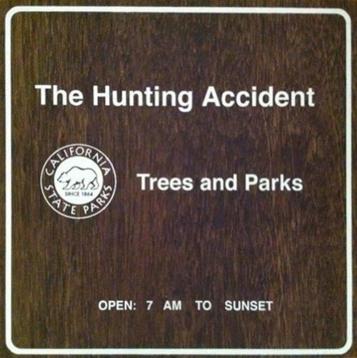 Hunting Accident - Trees And Parks