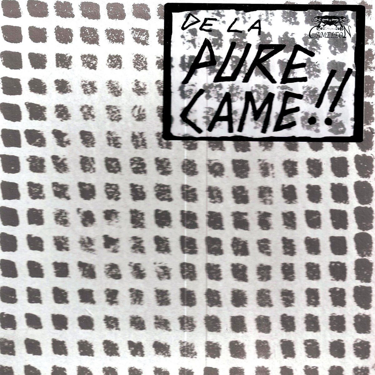 Afbeelding van Various Artists - De La Pure Came!!