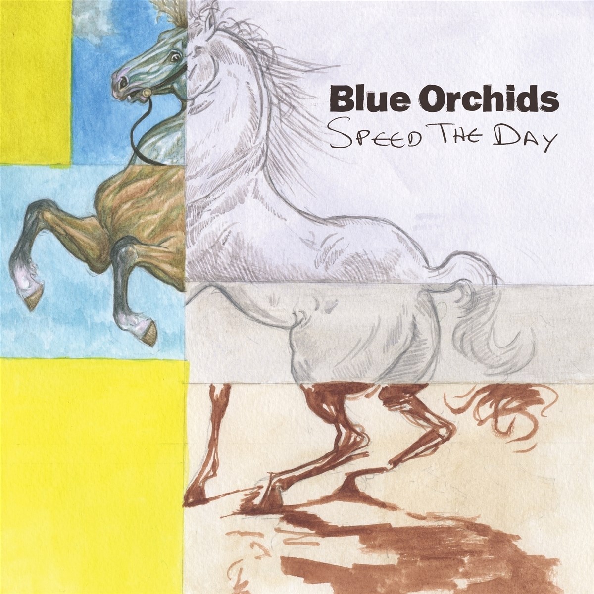 Afbeelding van Blue Orchids - Speed The Day