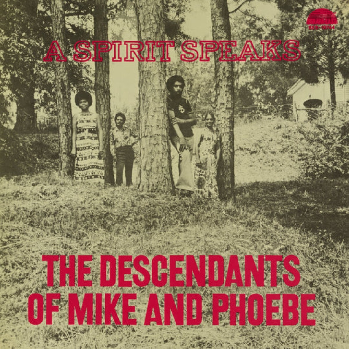 Afbeelding van Descendants Of Mike And Phoebe - A Spirit Speaks