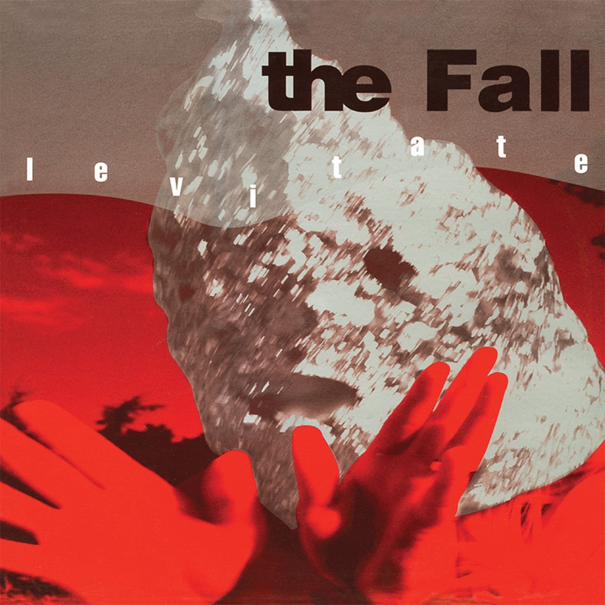 Afbeelding van The Fall - Levitate
