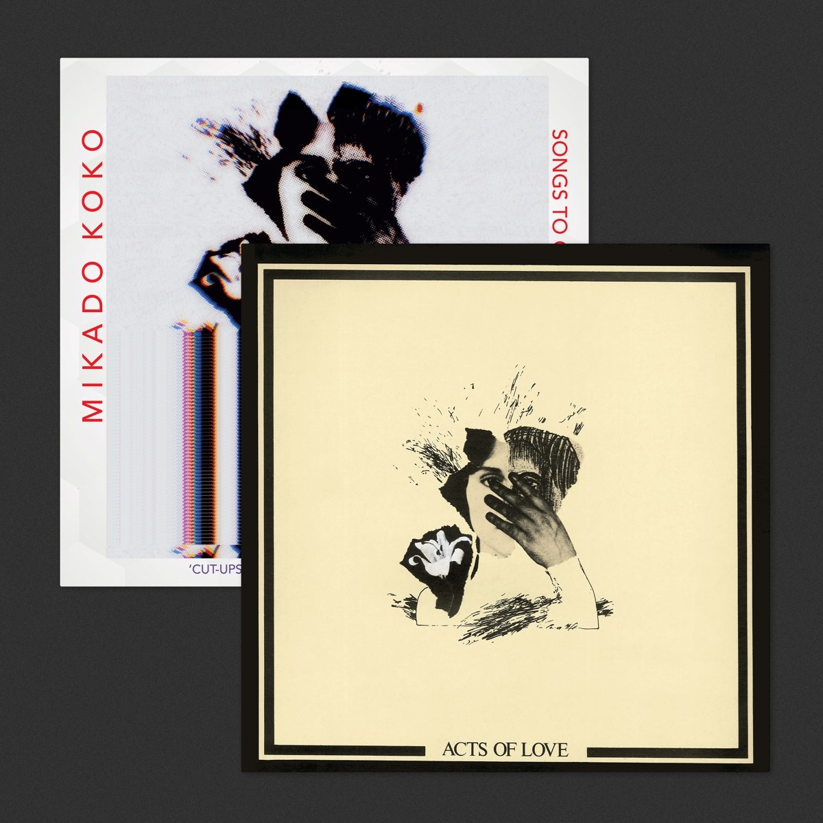 Afbeelding van Penny Rimbaud & Mikado Koko - Acts Of Love / Songs To Our Other Selves