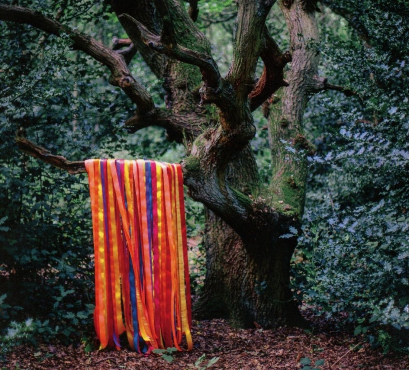 Afbeelding van James Holden & The Animal Spirits - The Animal Spirits
