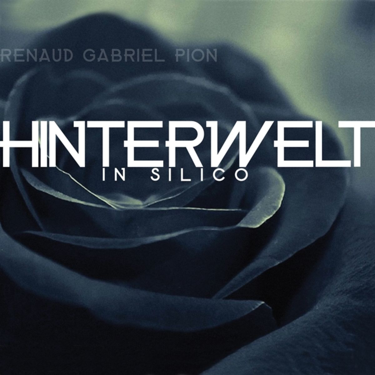 Afbeelding van Renaud Gabriel Pion - Hinterwelt In Silico