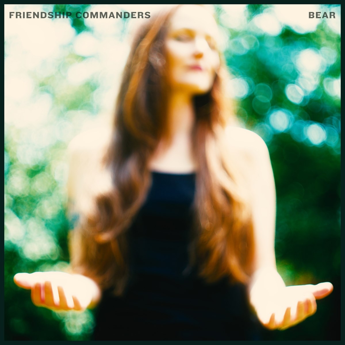 Afbeelding van Friendship Commanders - Bear
