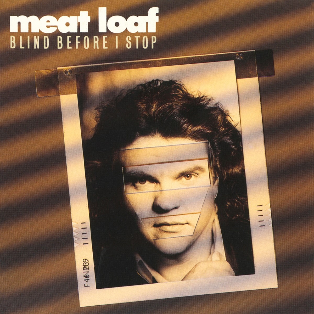 Afbeelding van Meat Loaf - Blind Before I Stop