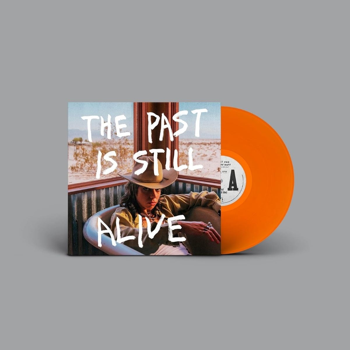 Afbeelding van Hurray For The Riff Raff - The Past Is Still Alive