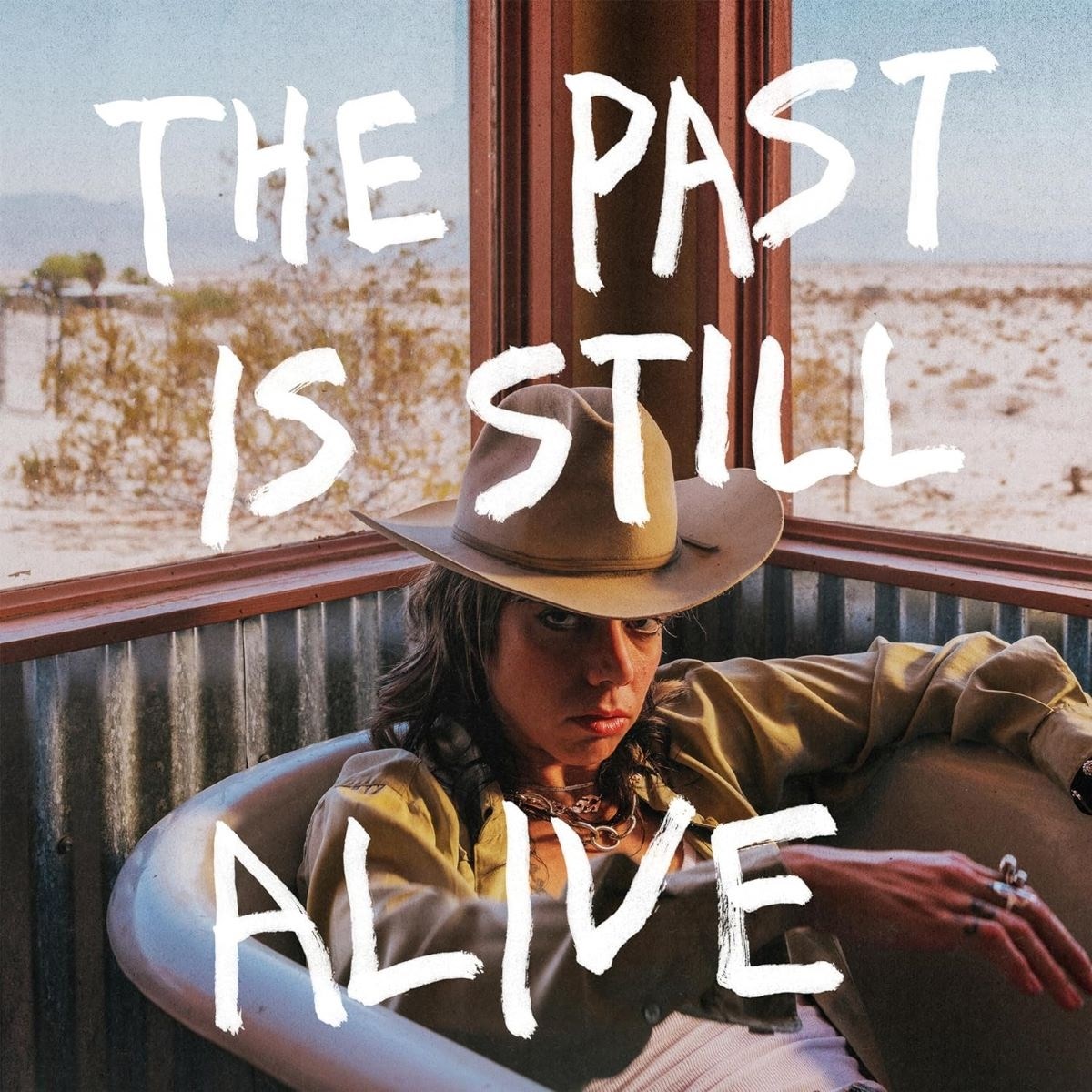Afbeelding van Hurray For The Riff Raff - The Past Is Still Alive
