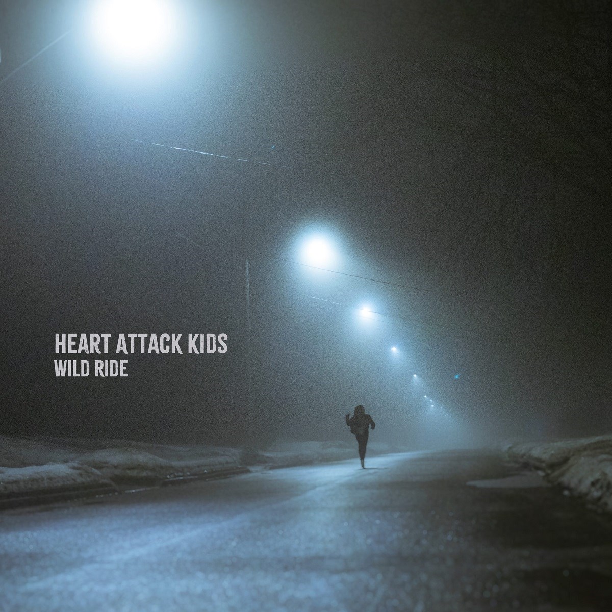Afbeelding van Heart Attack Kids - Wild Ride