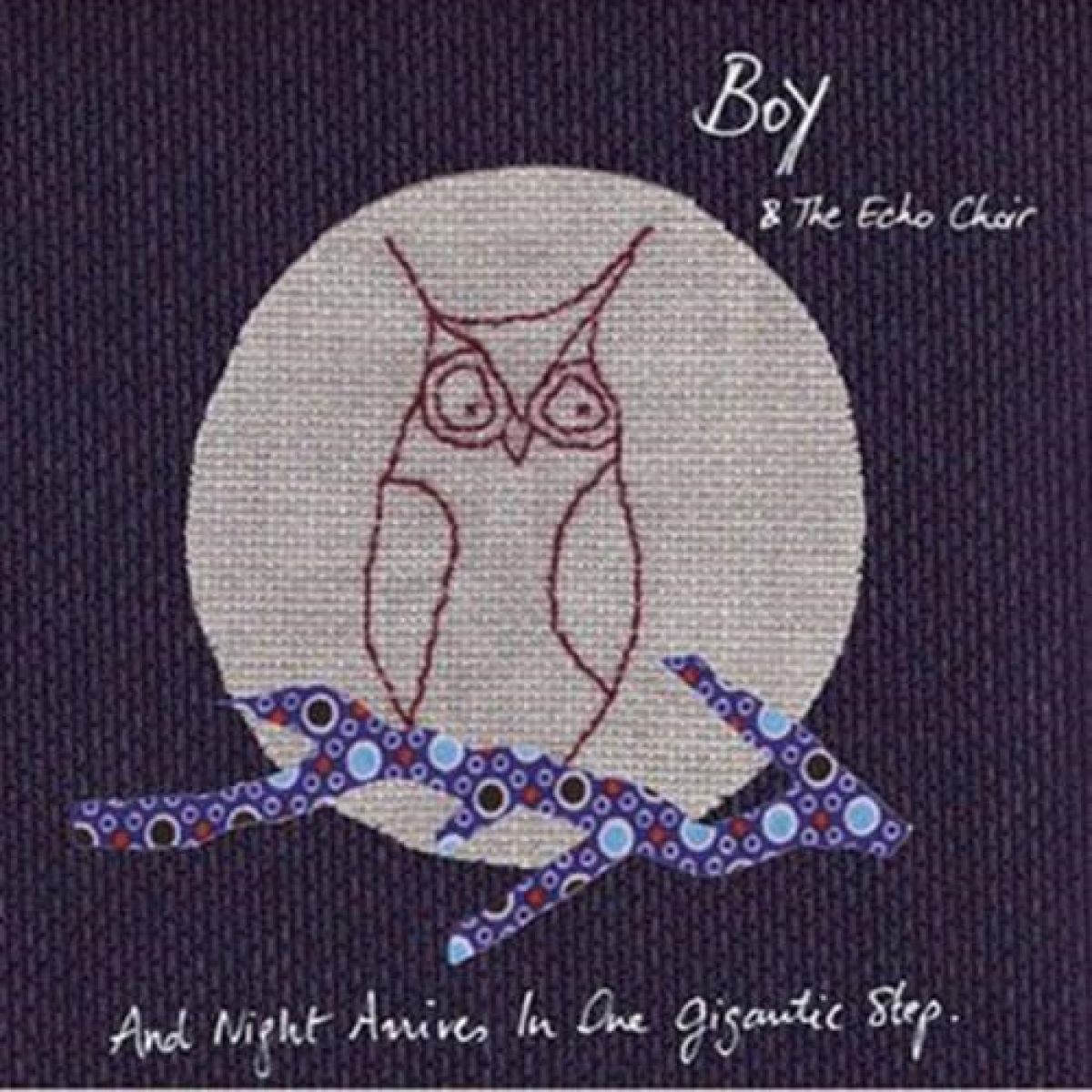 Afbeelding van Boy & The Echo Choir - And Night Arrives In One Gigantic Step