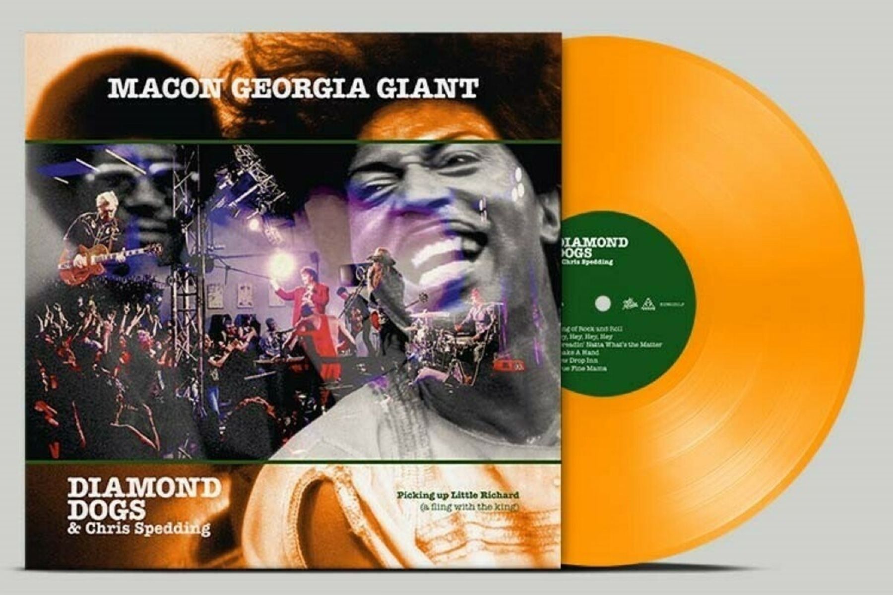 Afbeelding van Macon Georgia Giant