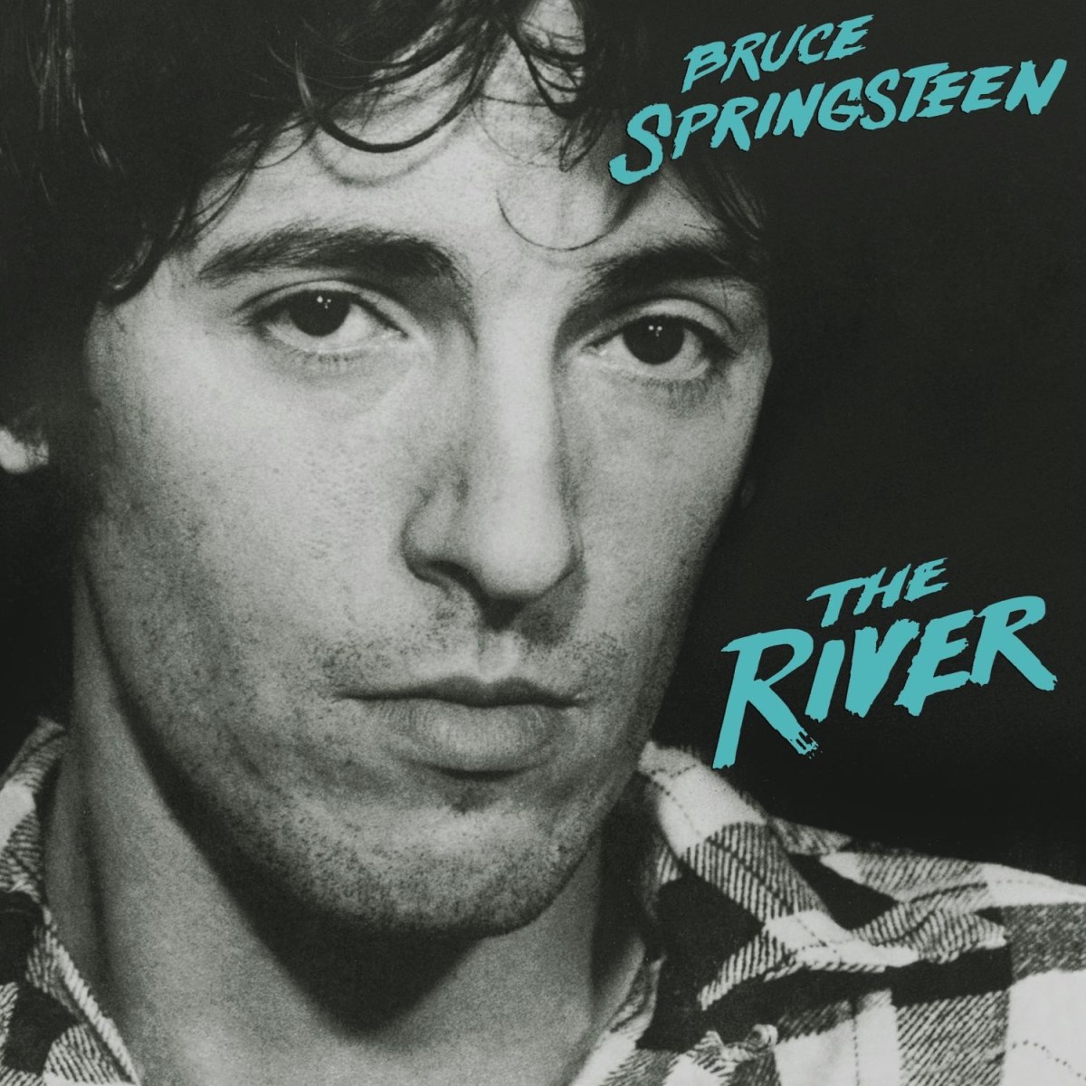 Afbeelding van Bruce Springsteen - The River