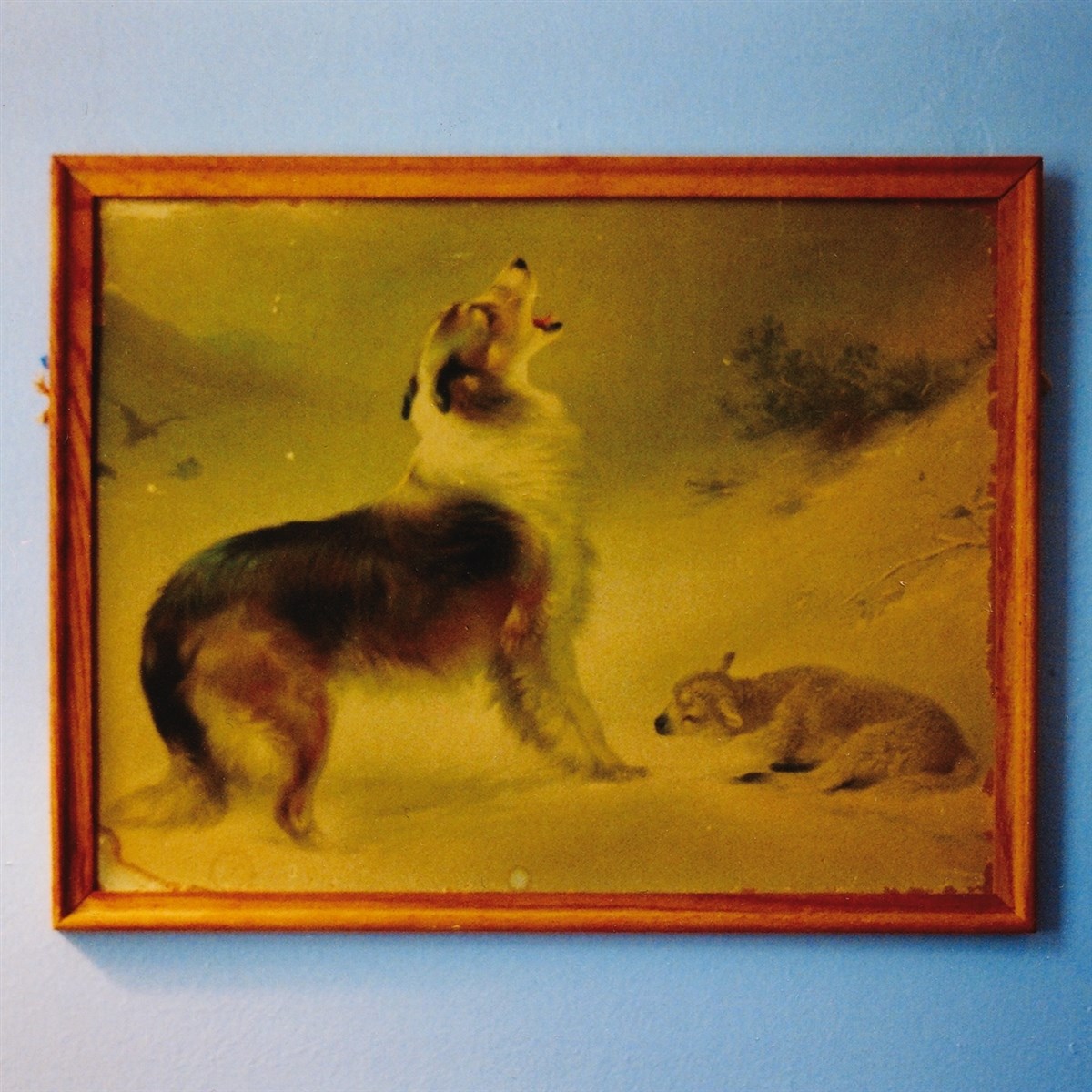 Afbeelding van Explosions In The Sky - The Rescue
