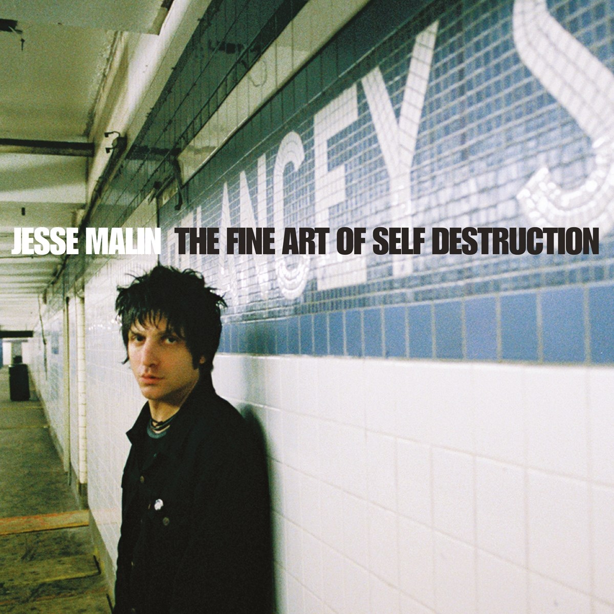 Afbeelding van Jesse Malin - The Fine Art Of Self Destruction